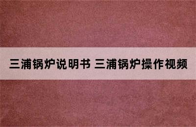 三浦锅炉说明书 三浦锅炉操作视频